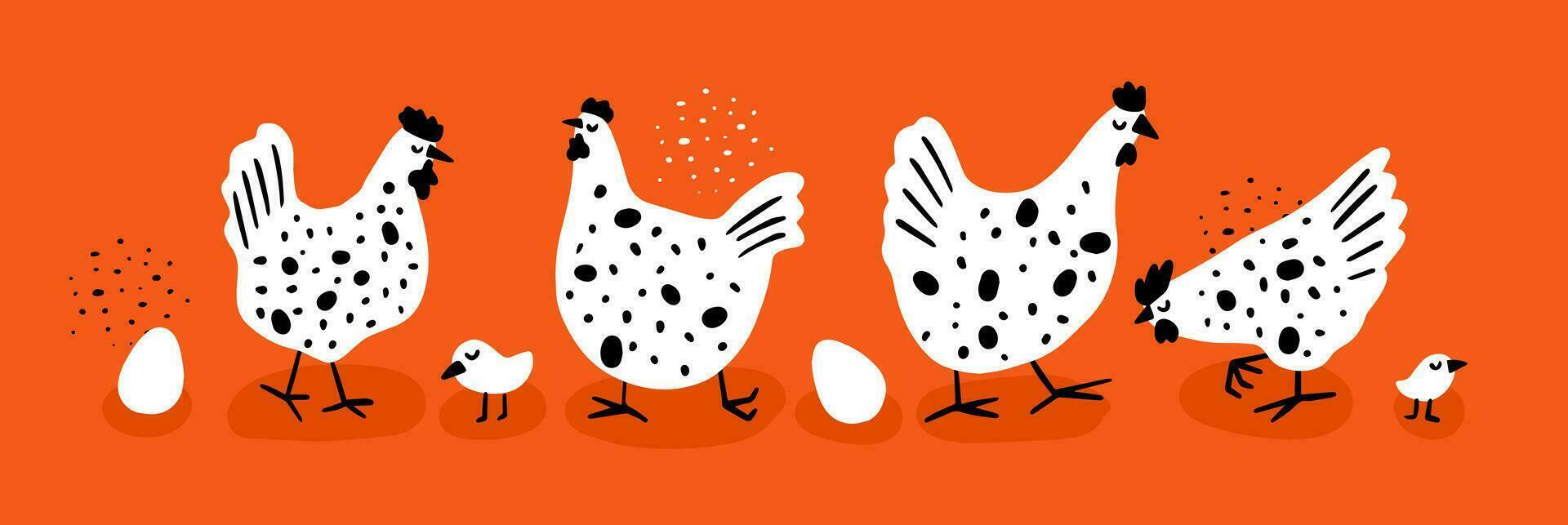 A set of fun funny chickens, chickens and eggs. Cute children's bird illustrations. Print for clothes, fabrics vector