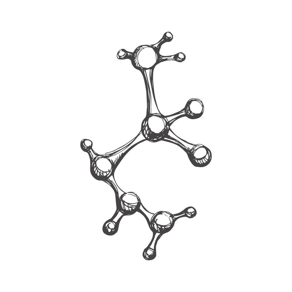 Vector hand-drawn school Illustration. Detailed retro style crystallized molecule sketch. Vintage sketch element. Back to School. The science.