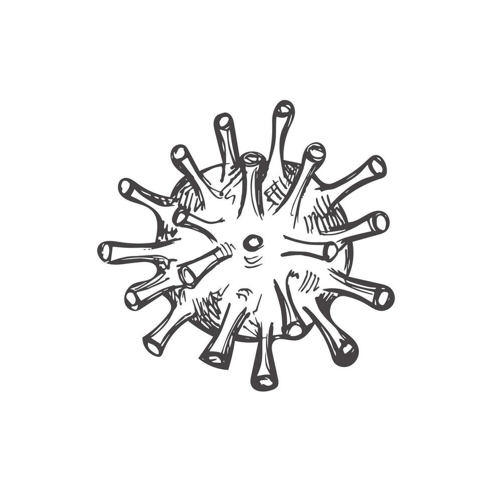 Vector hand-drawn school Illustration. Detailed retro style virus sketch. Vintage sketch element. Back to School. The science.