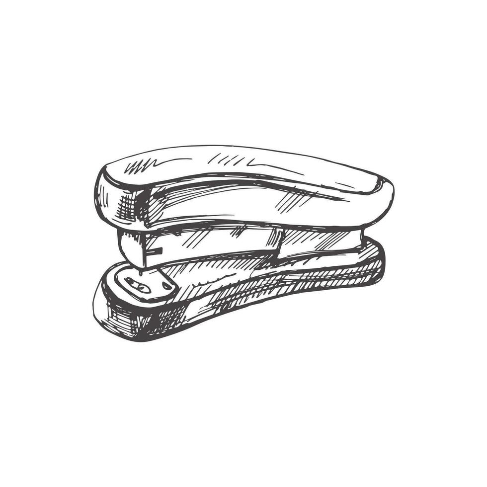 Vector hand-drawn school and office tools Illustration. Detailed retro style stapler sketch. Vintage sketch element. Back to School.