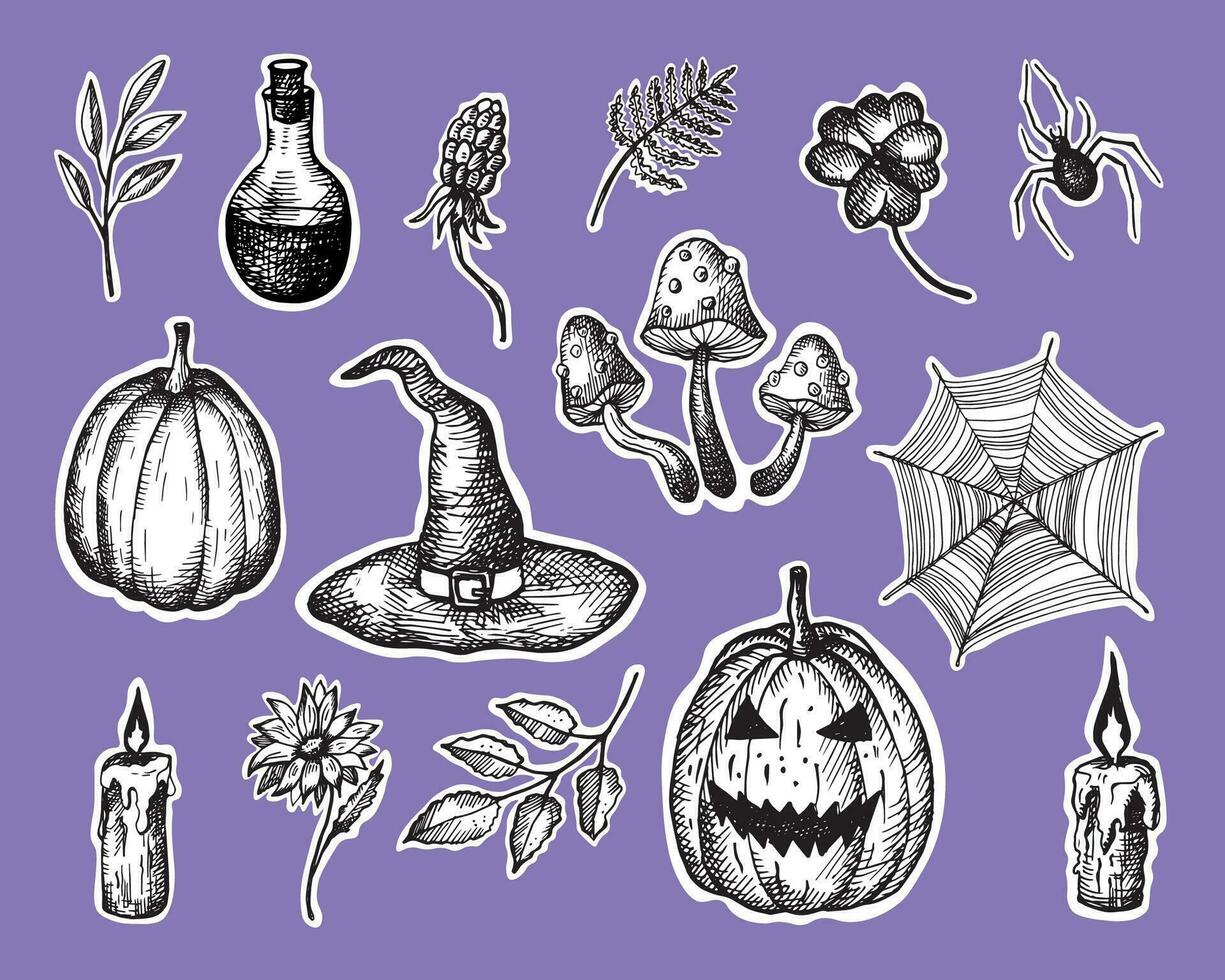 Víspera de Todos los Santos vector ilustración antecedentes modelo para otoño fiesta con calabaza, linterna, seta venenosa, araña, plantas, místico símbolos mano dibujado. diseño elemento para tarjeta, póster, poligrafía, bandera