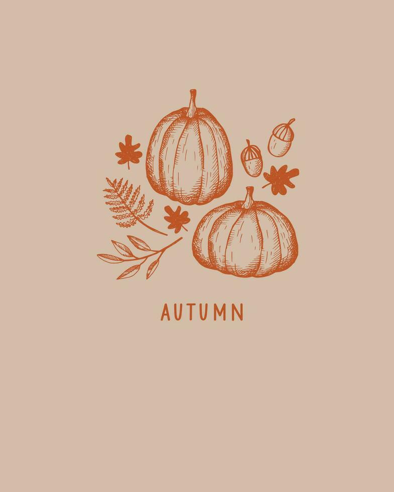 Autumn template with pumpkins,fall leaves, oak nuts and text Autumn. Vector background illustration of autumn mood for banner, greeting card, polygraph, label, print, poster. Hand drawn with engraving