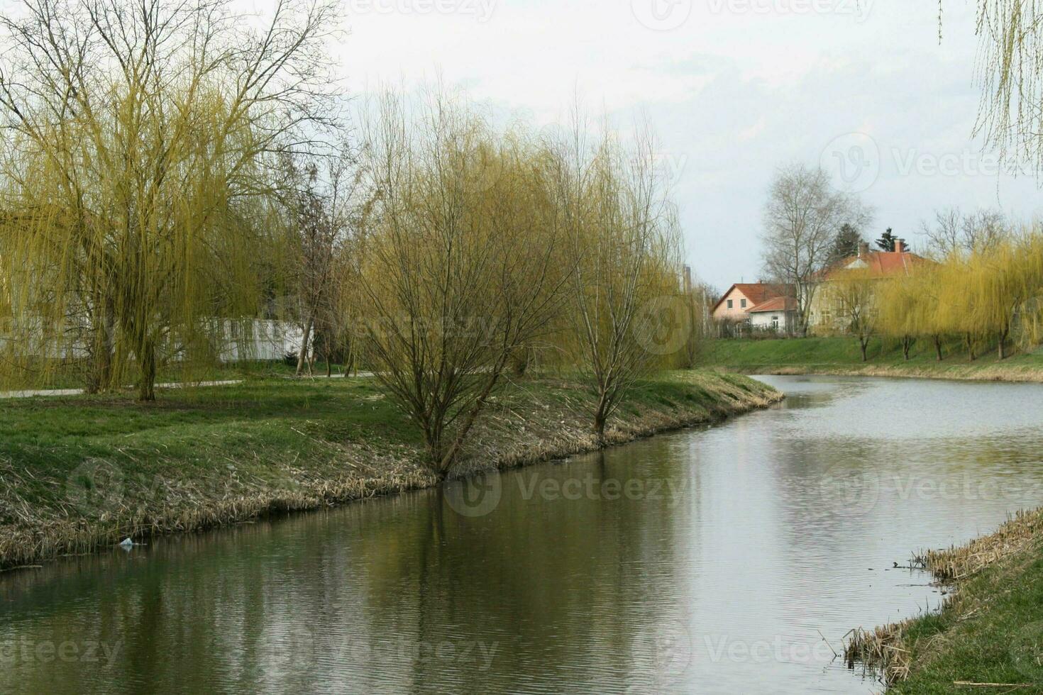 Szeged with the Maros coast photo