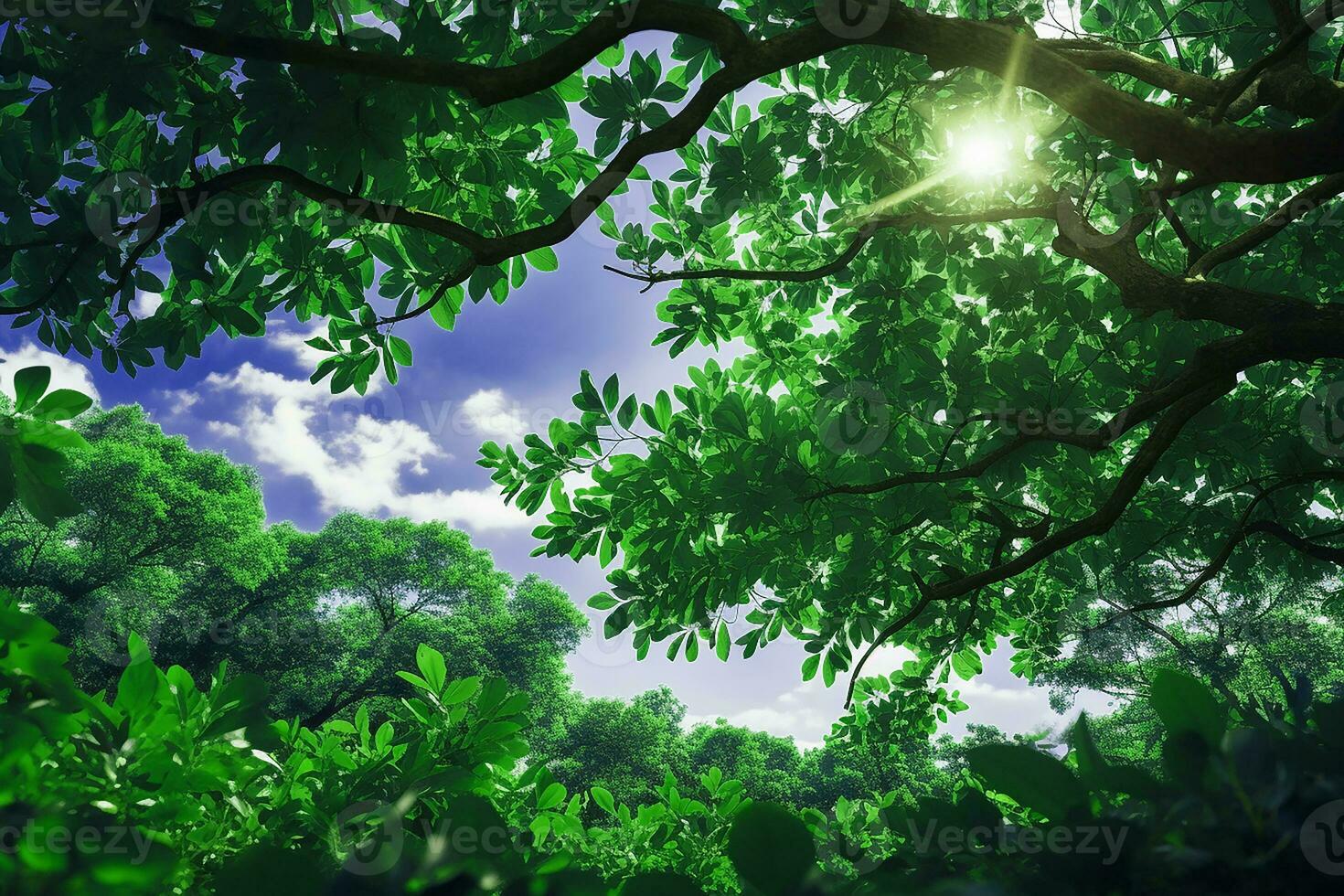 Nature View of Fresh Green Leaves Tree Branch in Forest with Sunlight on Blue Sky photo