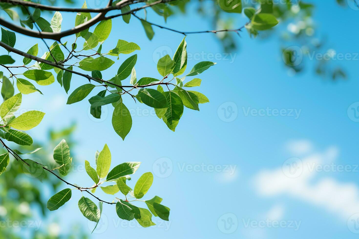 View of Tree Branches with Fresh Green Leaves in Blue Sky Background on