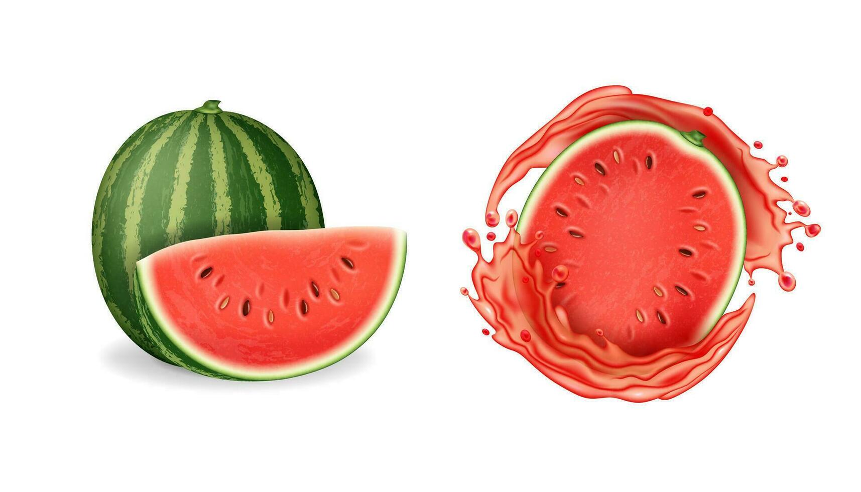Realistic Detailed 3d Fresh Whole Watermelon Fruit and Half with Splash. Vector