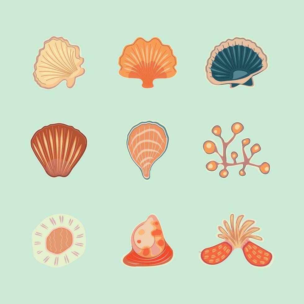Cartoon Color Different Tropical Seashell Set. Vector