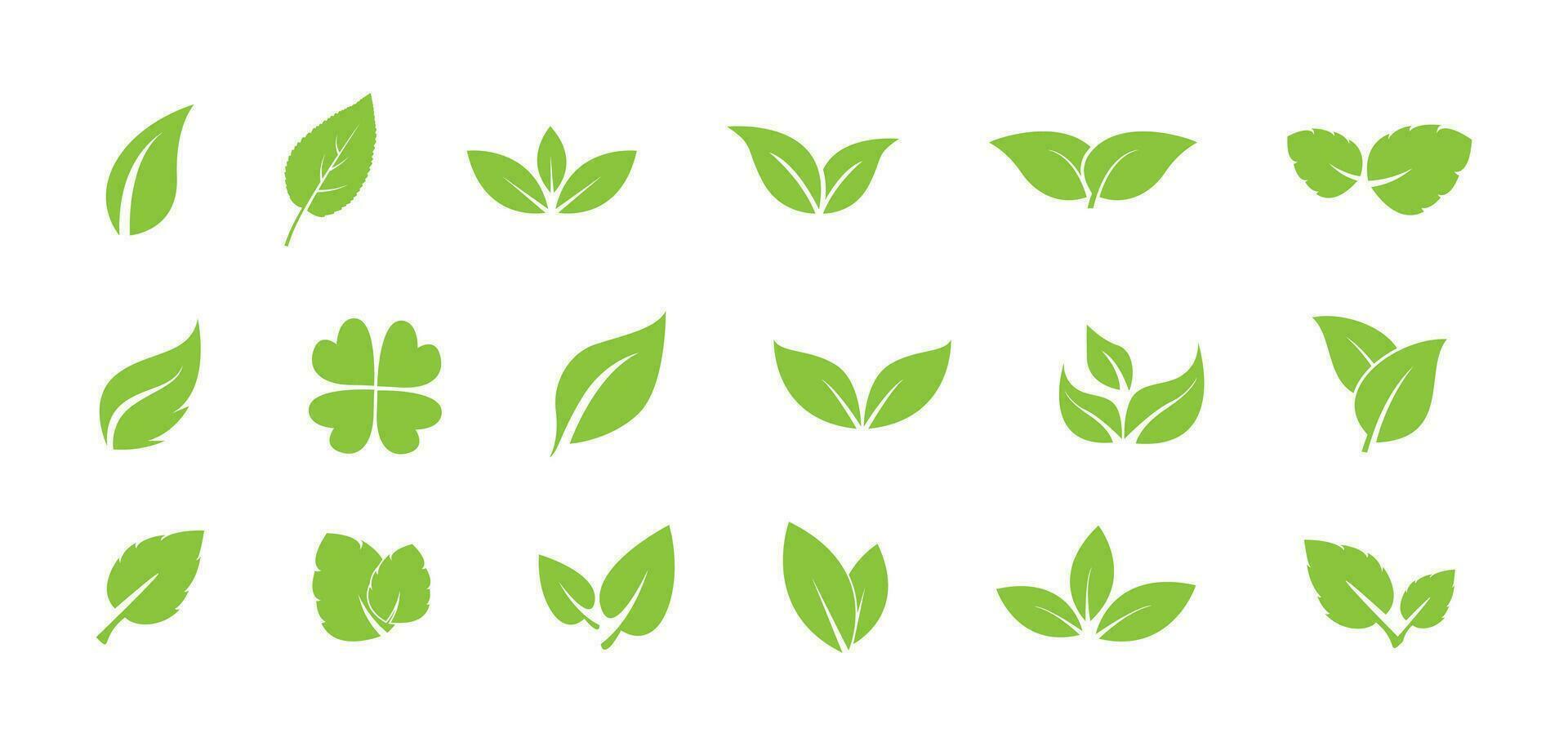 green leaf ecology nature element vector icon. leaf icon vector design template simple and clean