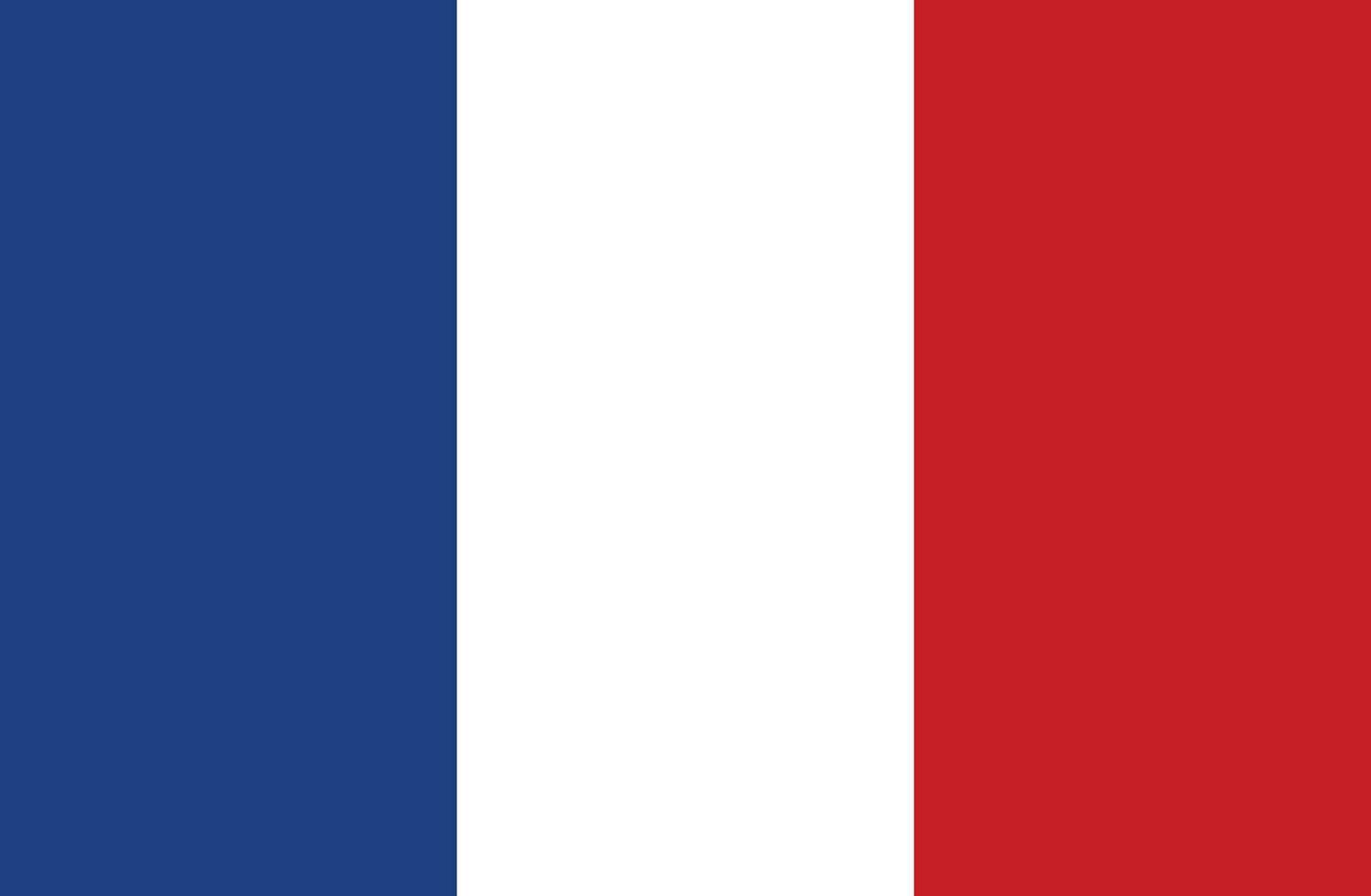 Francia bandera vector . nacional azotar de Francia