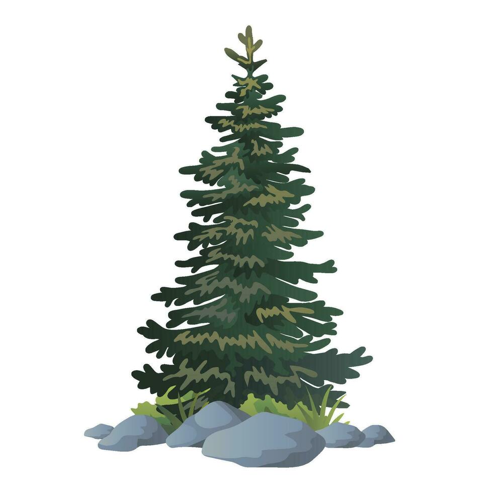 illustration of pinetree vector with white background
