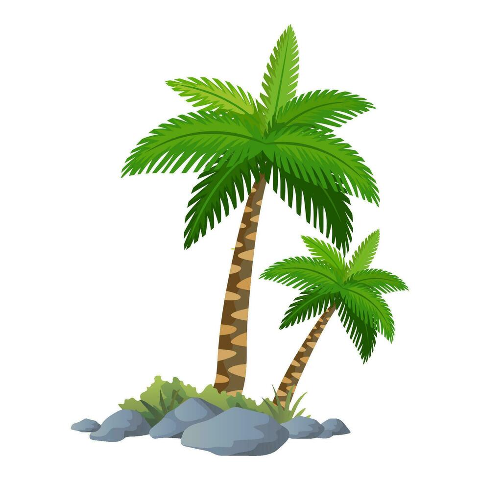 illustration of palm tree vector with white background