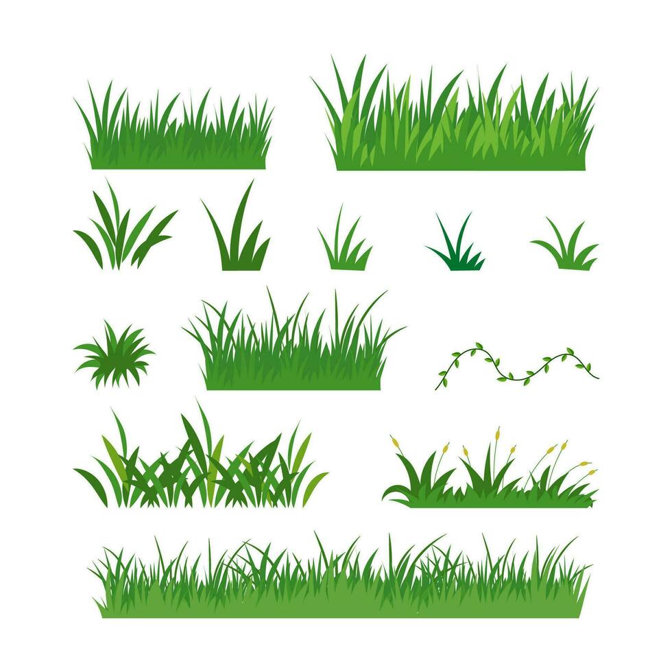 hand draw grass vector collection