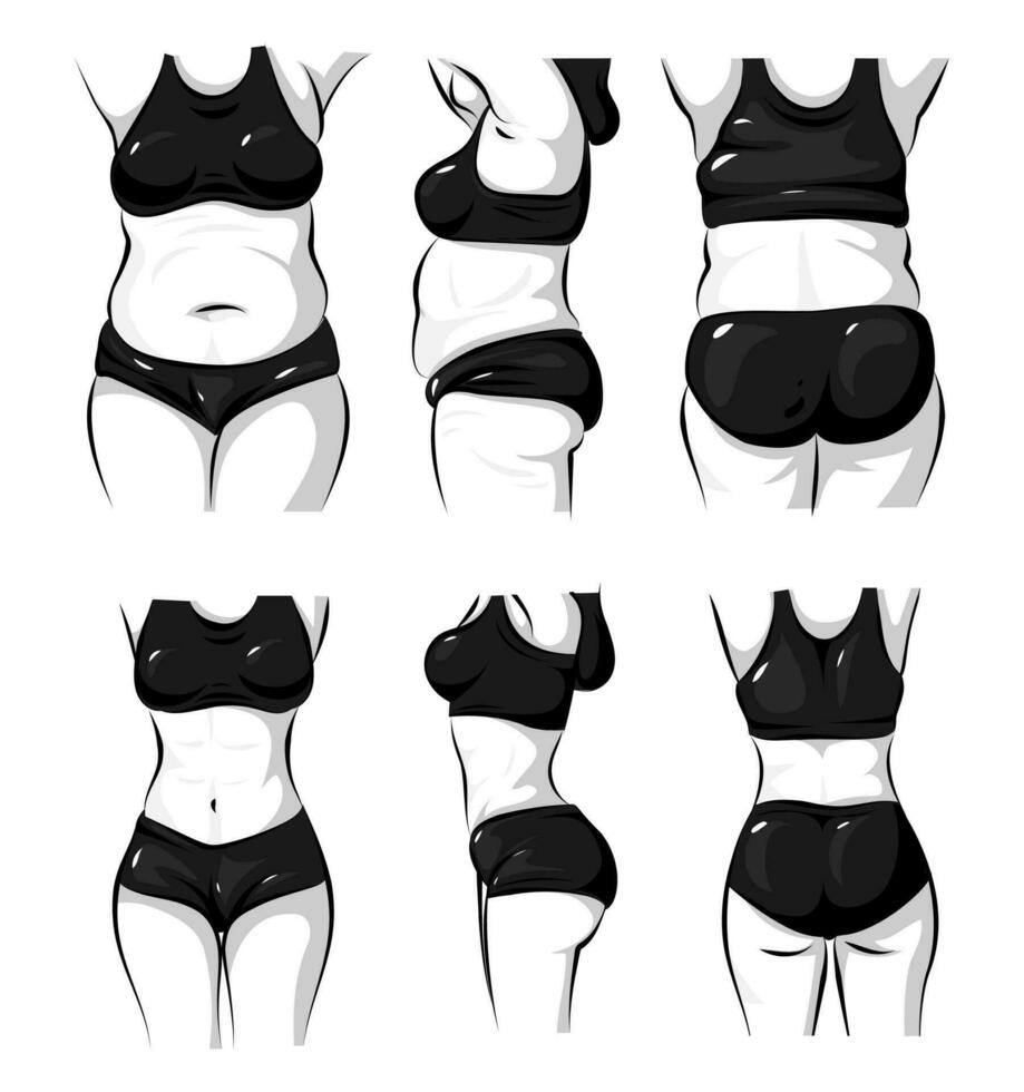 aptitud De las mujeres cuerpo cambios antes de y después vector