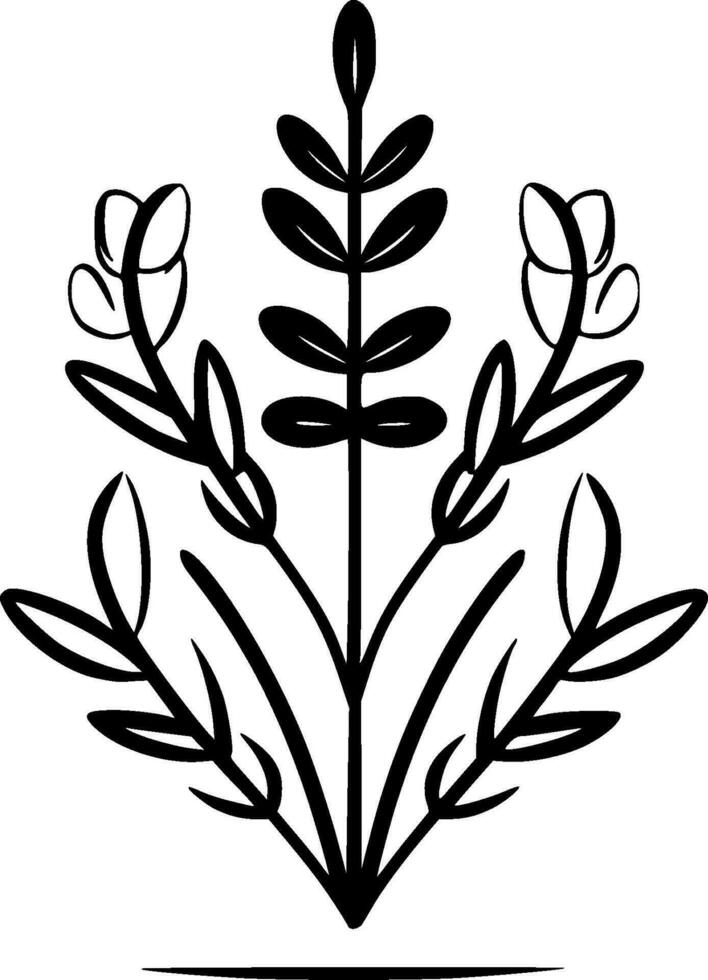 Lavender, Black and White Vector illustration
