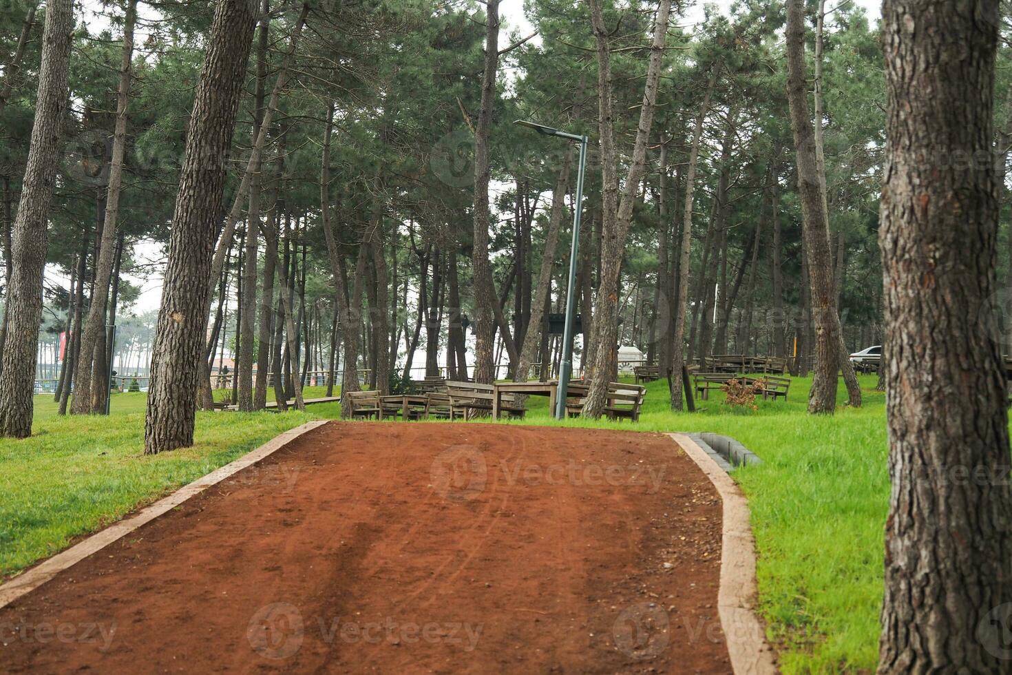 parques de la ciudad con pasarela a primera hora de la mañana foto