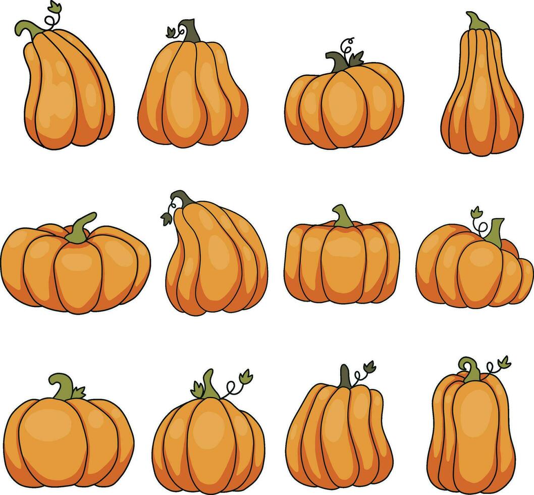 Pumpkin Doodle Collection vector
