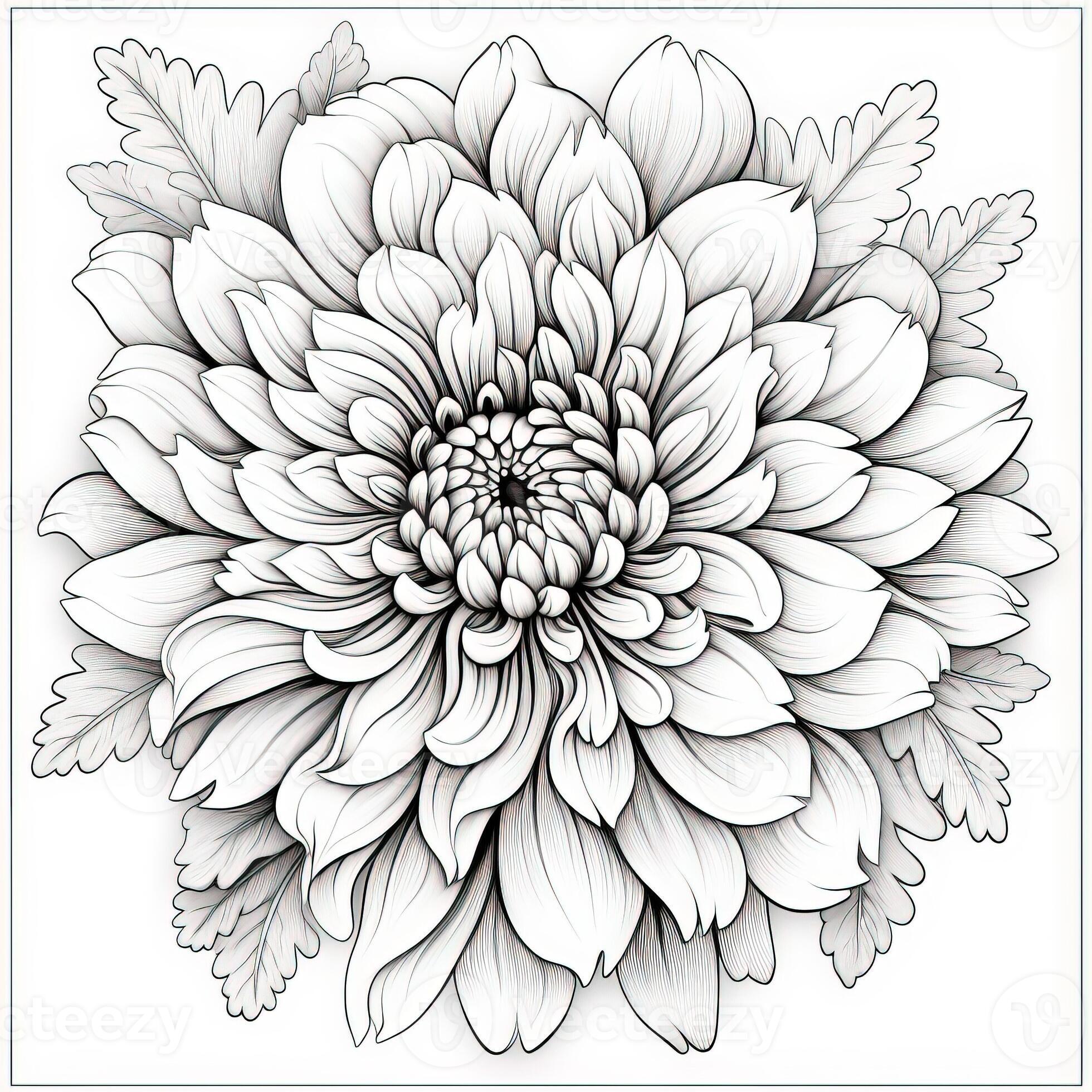 Cute Flowers Coloring Pages 26713384 Stock Photo at Vecteezy