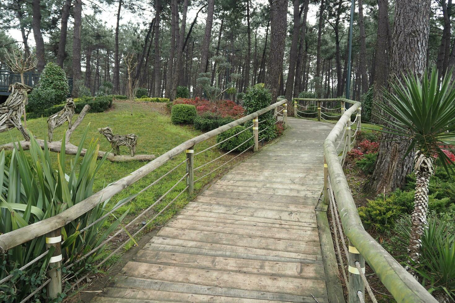 parques de la ciudad con pasarela a primera hora de la mañana foto