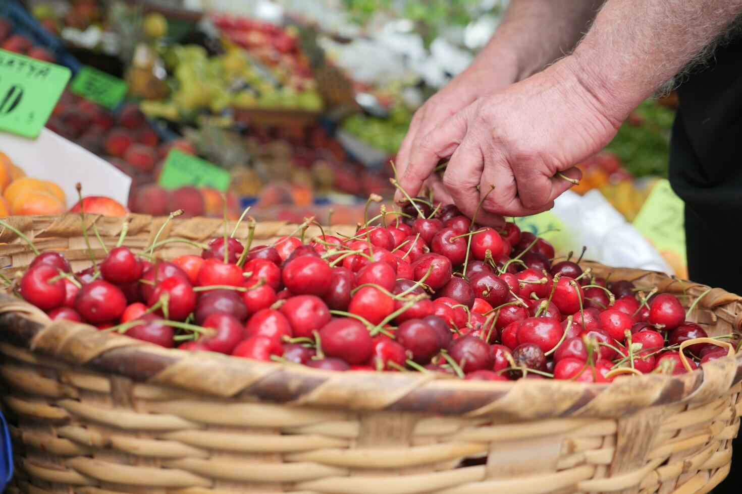 ripe fresh cherry in a vegetable basket photo