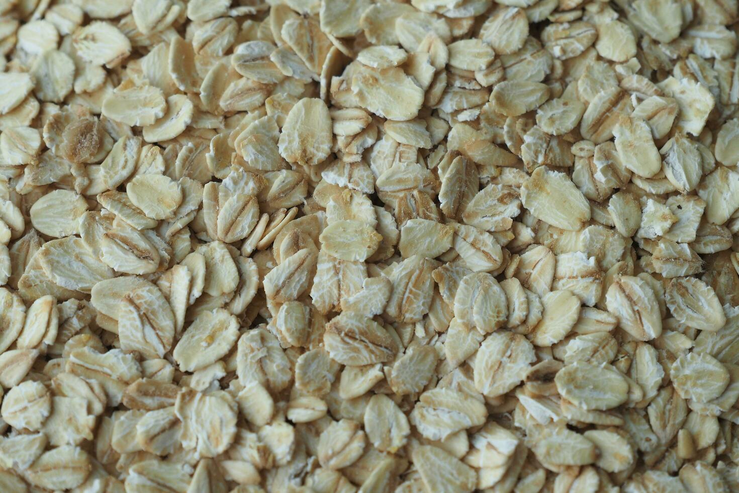 closeup of roasted oats flakes in a bowl photo