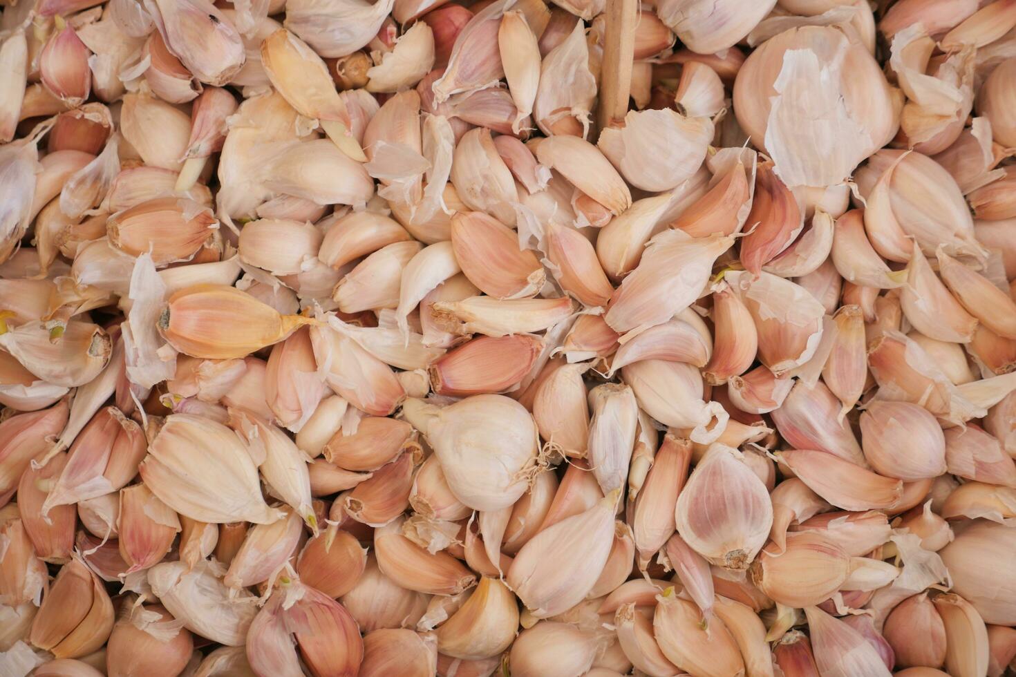 close up pf garlic on white background, photo