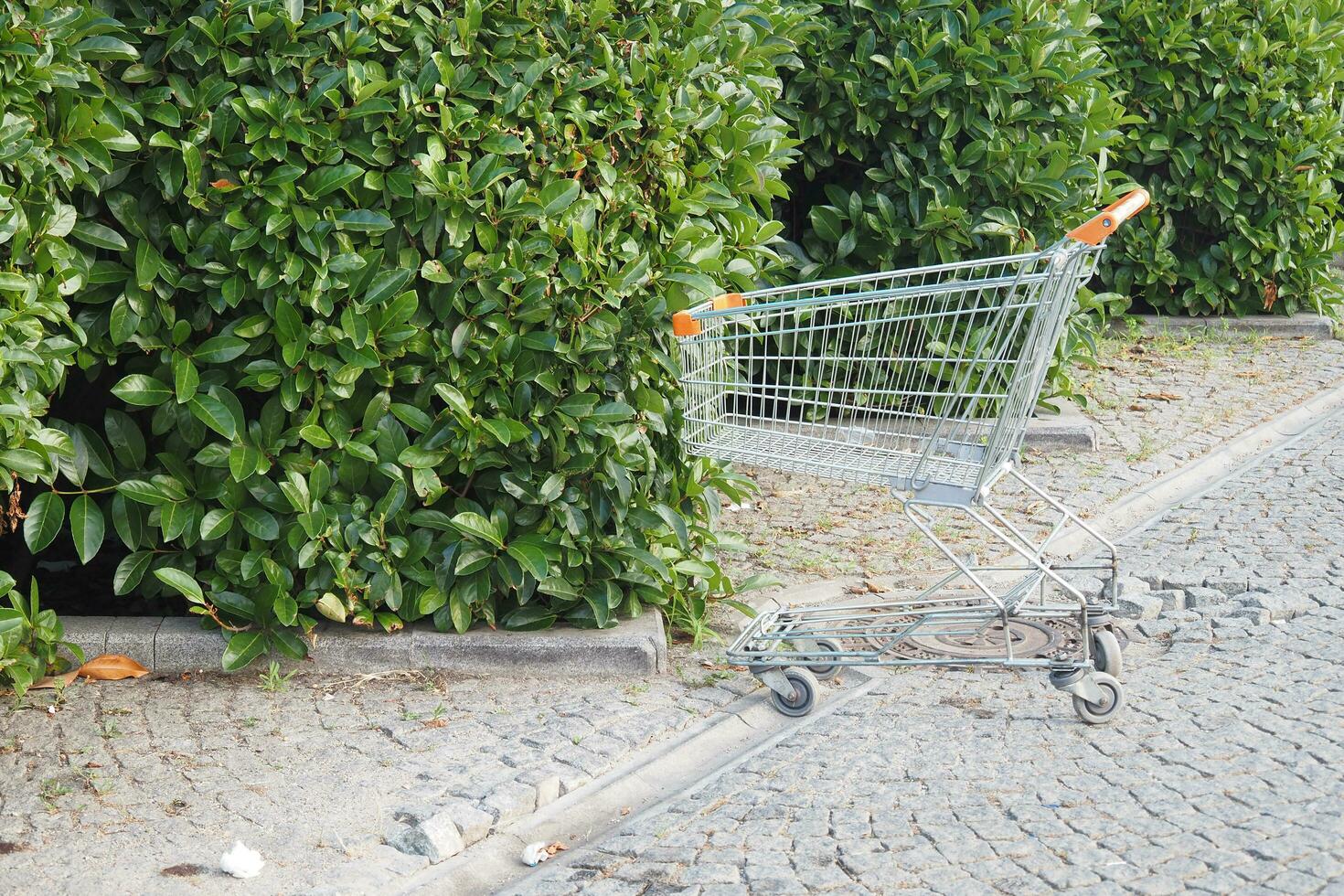 Shopping cart in a empty car park photo