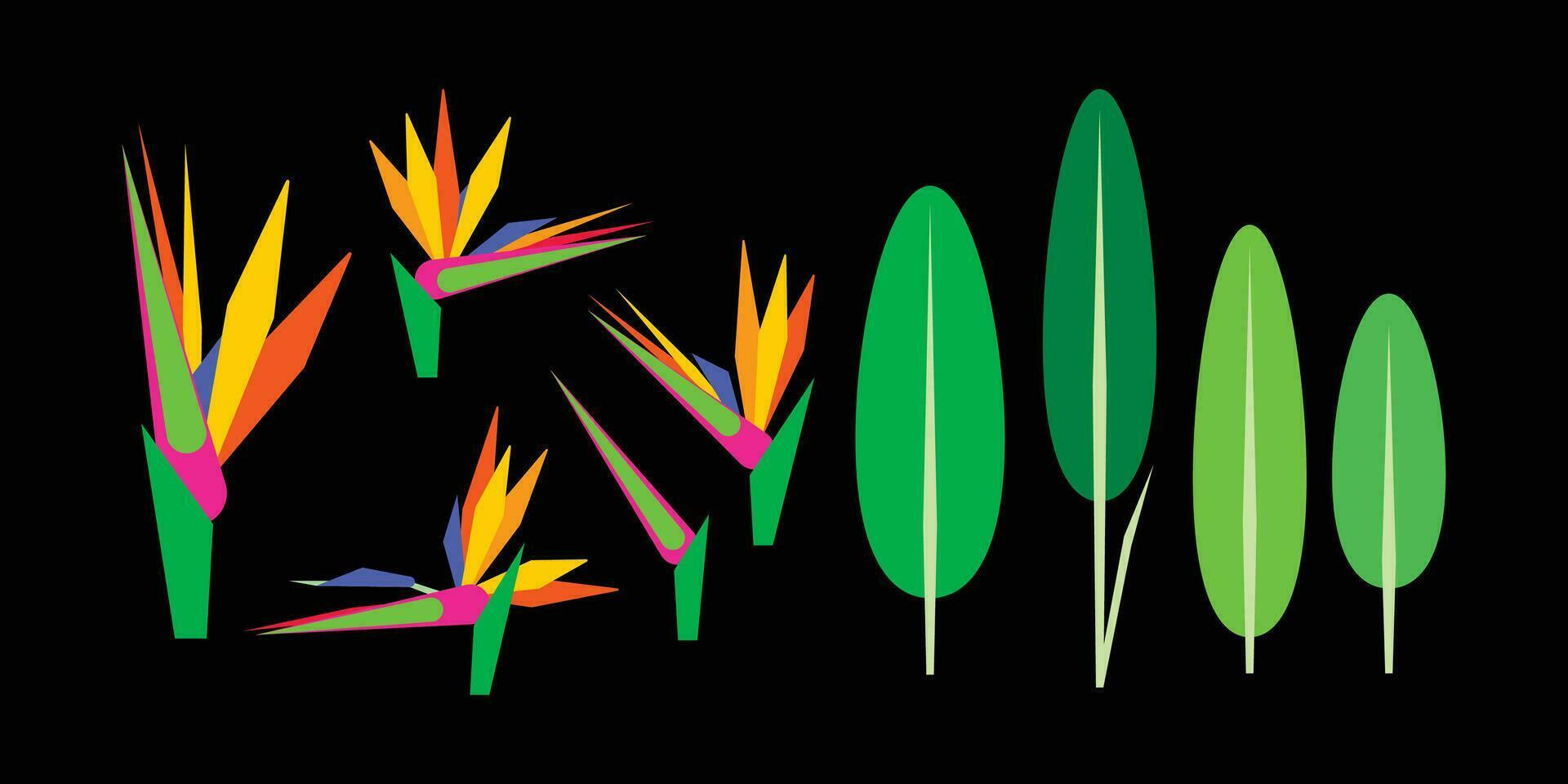 Birds of Paradise Flower geometric icon set vector