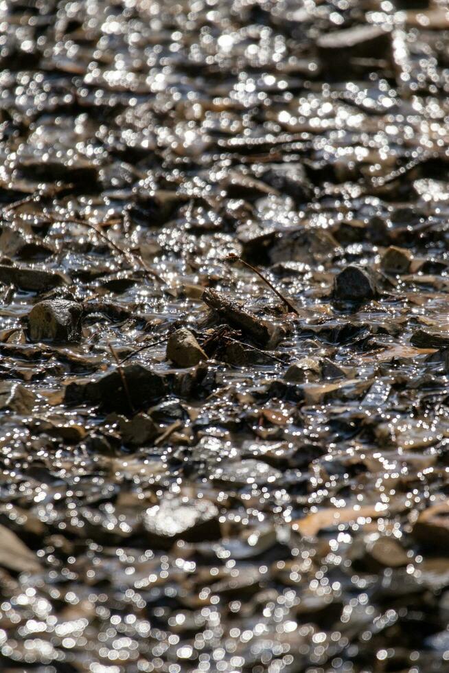 Shiny rocks in shallow water photo