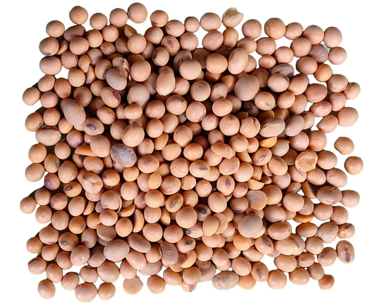 These are soybeans, which have many benefits and nutritional content to meet food needs. photo