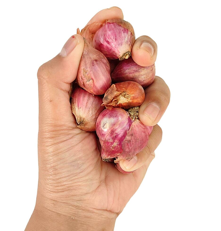 estos son chalotes y ajo, cuales tener muchos beneficios y nutricional contenido a reunirse comida necesidades. foto