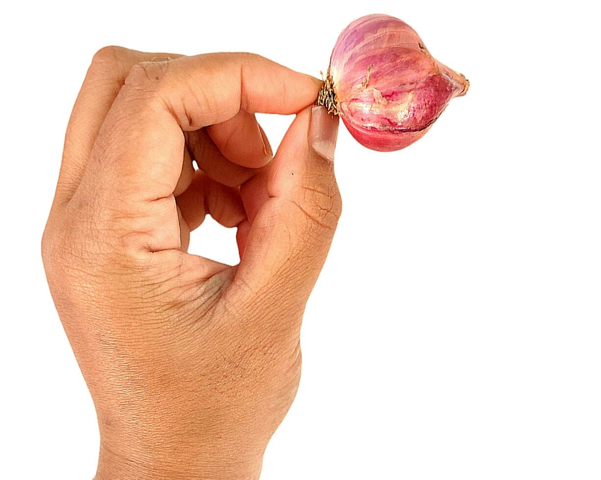 These are shallots and garlic, which have many benefits and nutritional content to meet food needs. photo