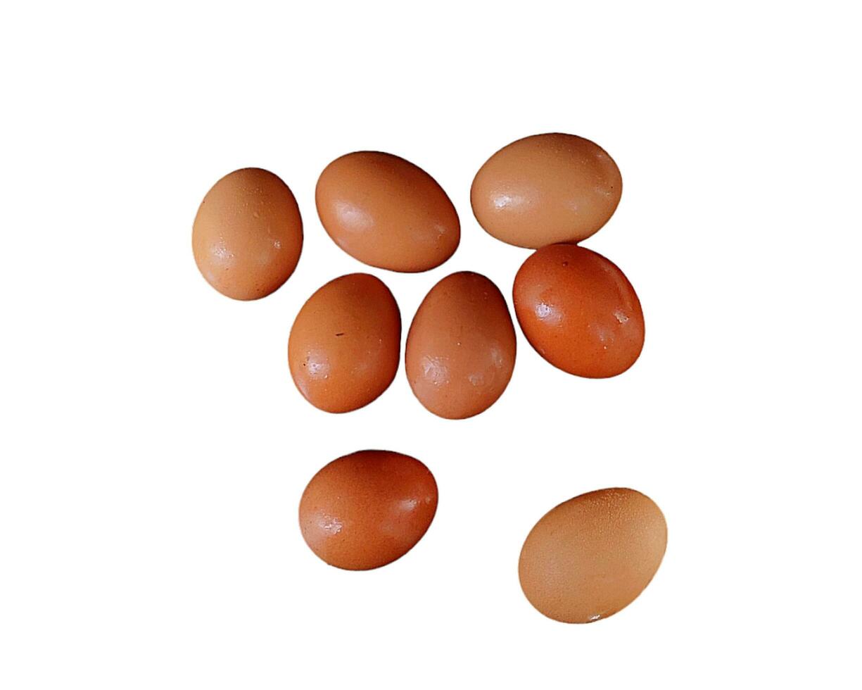 These are eggs, which have many benefits and nutritional content to meet food needs. photo