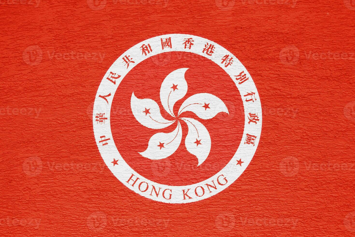 Flag and coat of arms of Hong Kong Special Administrative Region on a textured background. Concept collage. photo