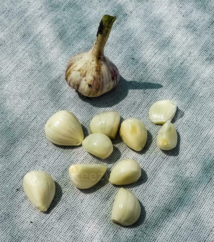 Garlic cloves and a head of garlic on a gray burlap. photo