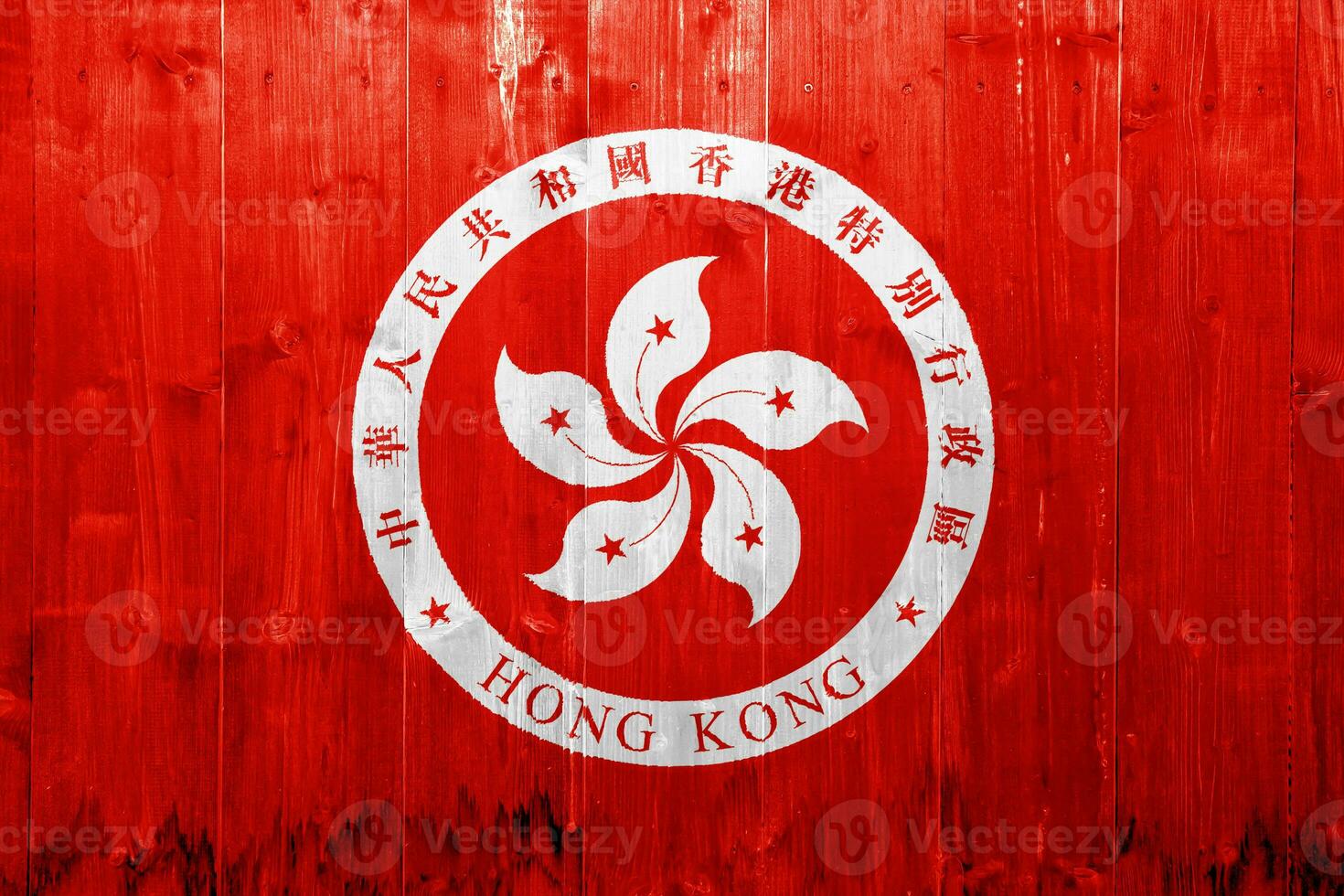 Flag and coat of arms of Hong Kong Special Administrative Region on a textured background. Concept collage. photo