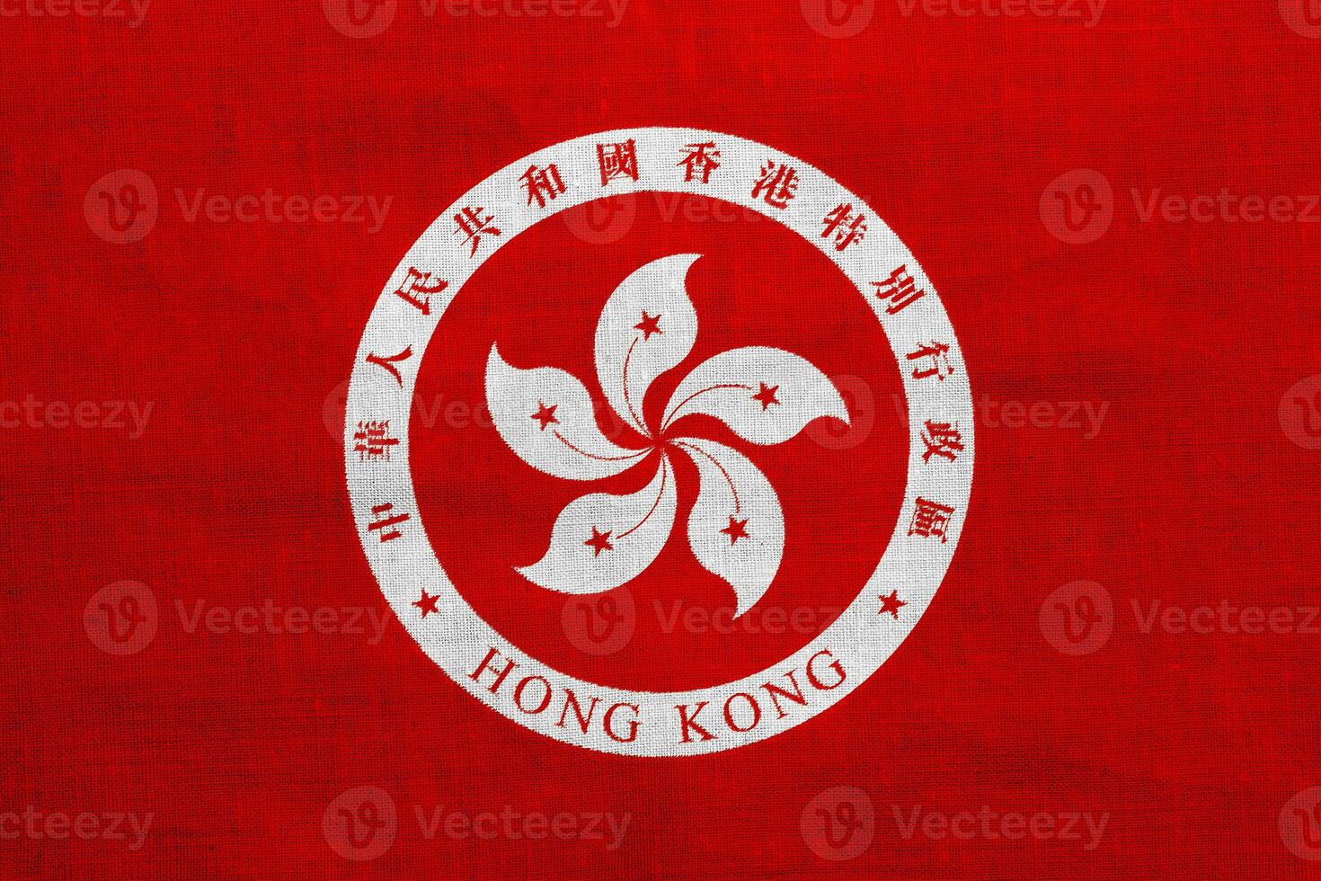 Flag and coat of arms of Hong Kong Special Administrative Region on a textured background. Concept collage. photo