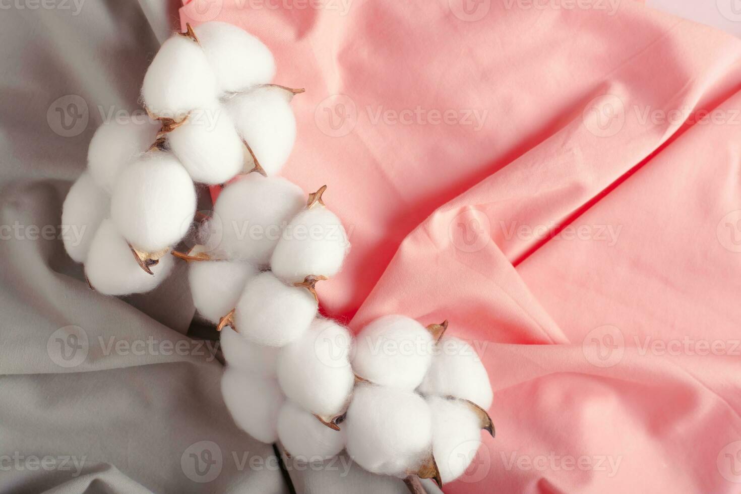 Cotton branch on green and pink crumpled fabric photo