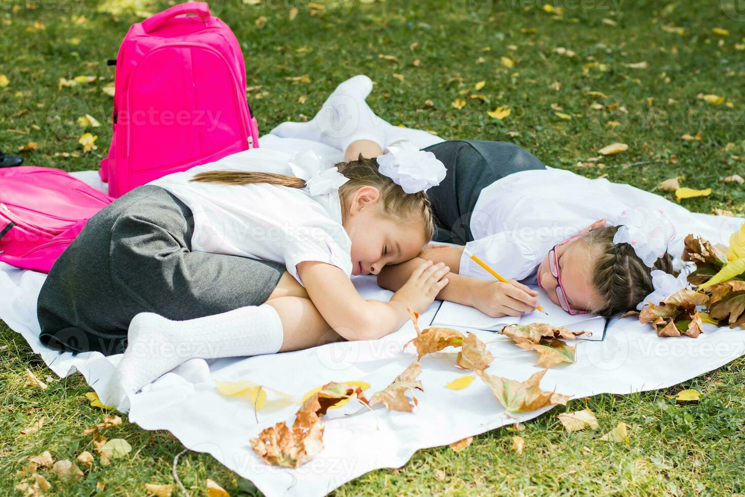 Two cute schoolgirls were tired of doing their homework and fell asleep on a blanket in a sunny autumn park. Outdoor education. Back to school concept photo