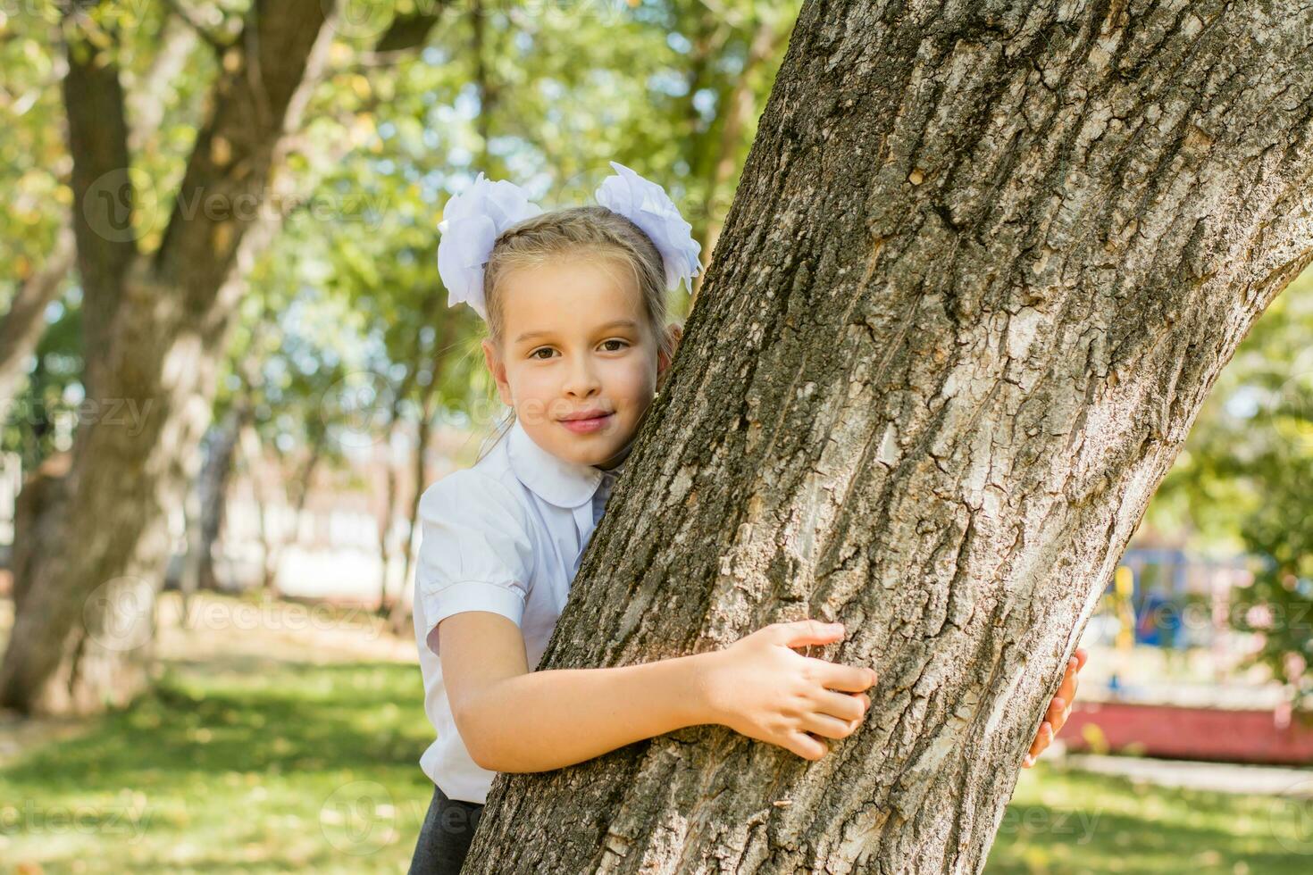 A cute schoolgirl with white bows stands by a tree in a sunny autumn park. First grade on September 1st. Back to school concept photo