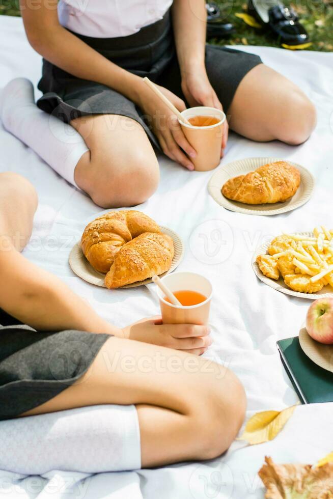 Eco-friendly picnic for schoolchildren in the park. Croissants, french fries and apples on eco paper plates and apple juice in an eco cup with a straw on a white blanket. Back to school concept photo