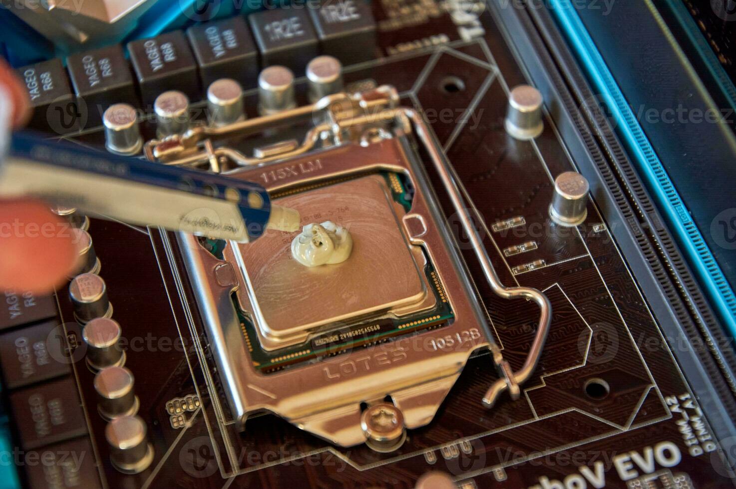 applying thermal paste to the central processor of the motherboard close up photo