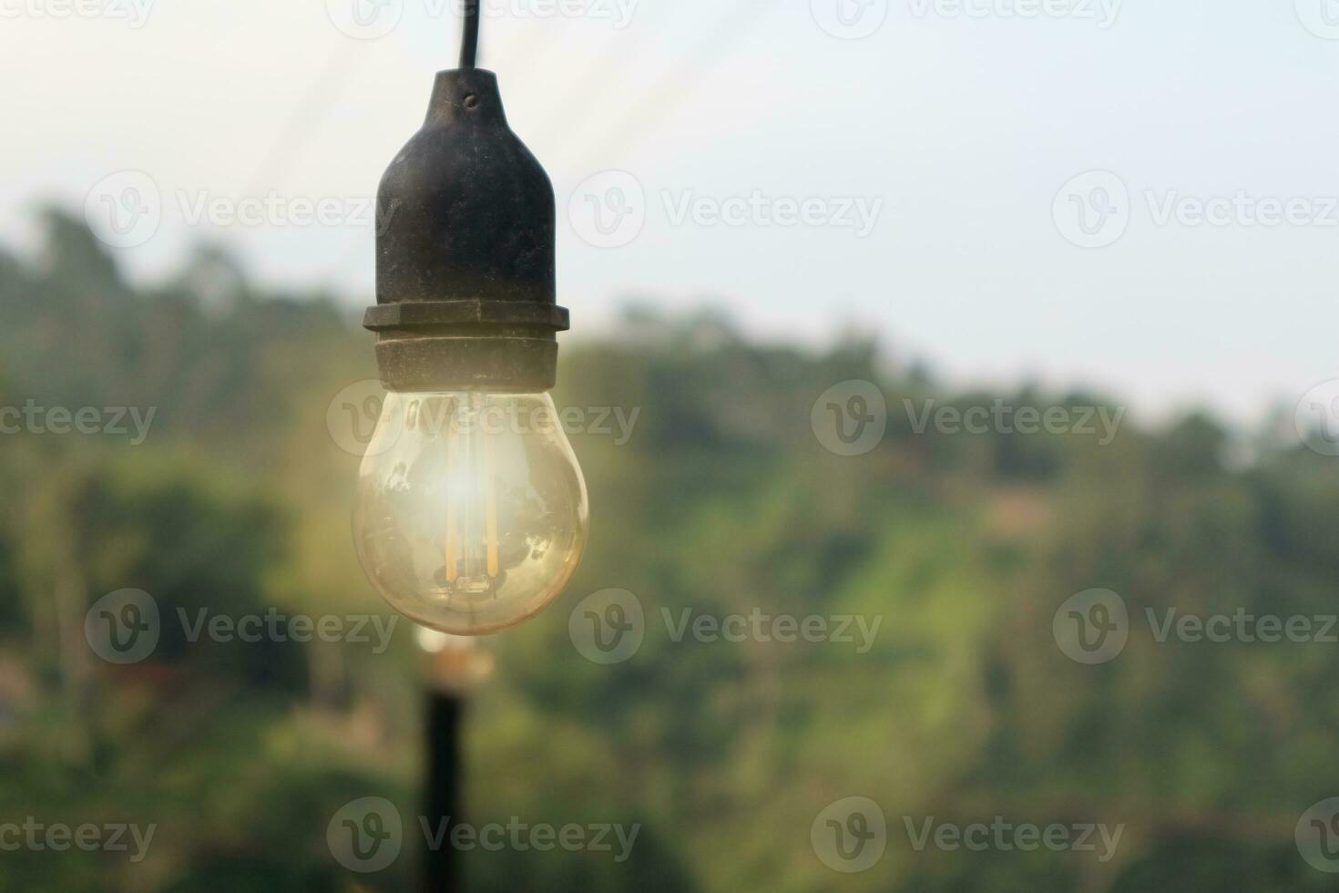 incandescent light bulb incandescent lamp incandescent light globe, on afternoon photo