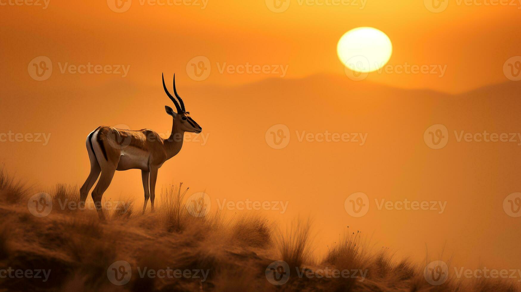 foto de subsidios gacela en sabana a puesta de sol. generativo ai