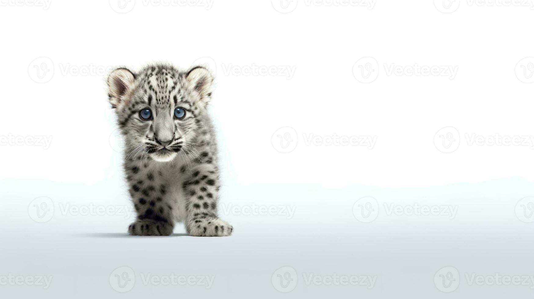 Photo of a snow leopard on white background. Generative AI