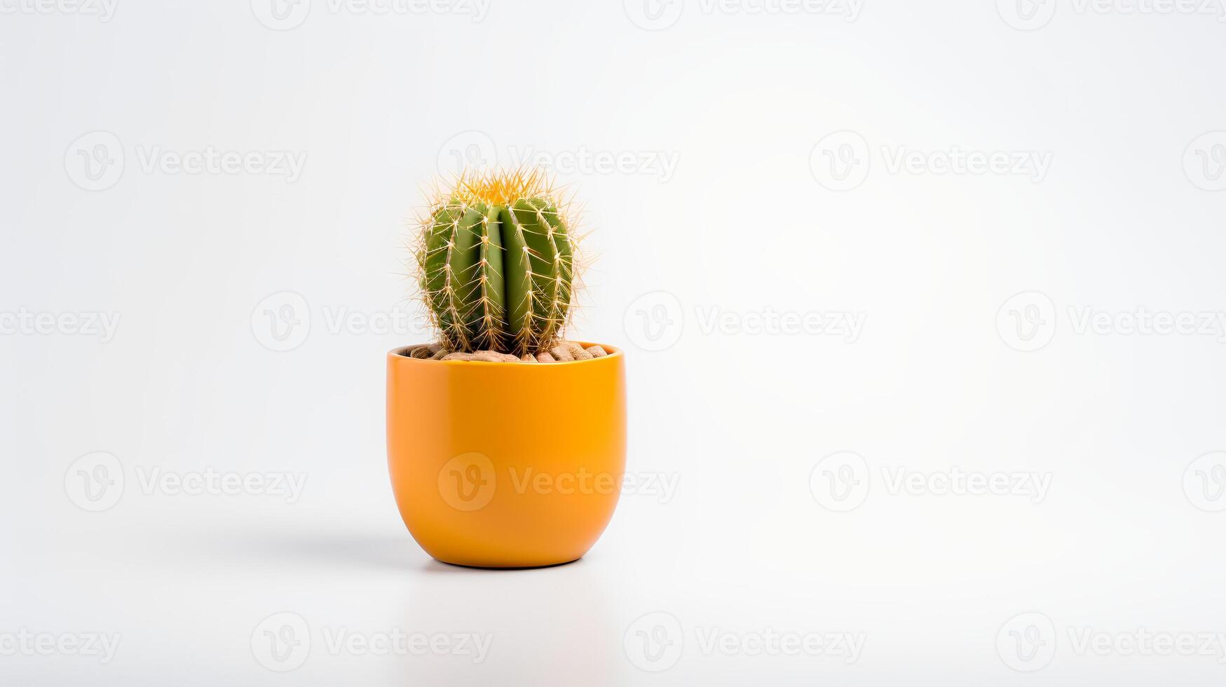 Photo of Golden barrel cactus in minimalist yellow pot as houseplant for home decoration isolated on white background.