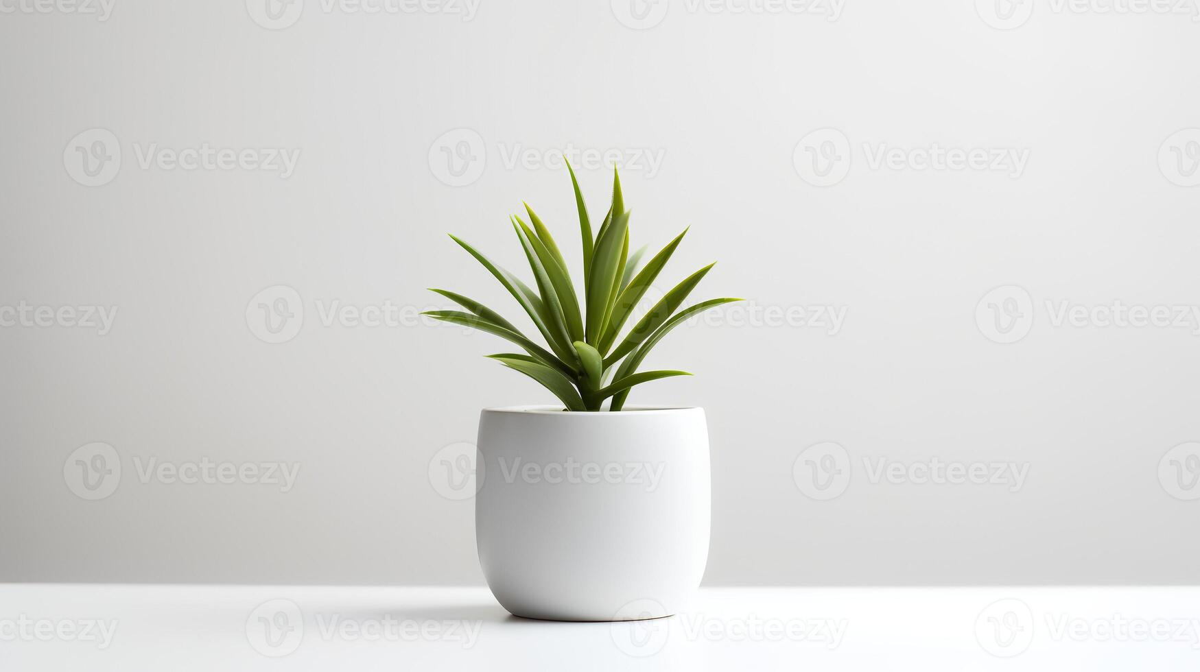 Photo houseplant in minimalist pot  for home decoration. Generative AI