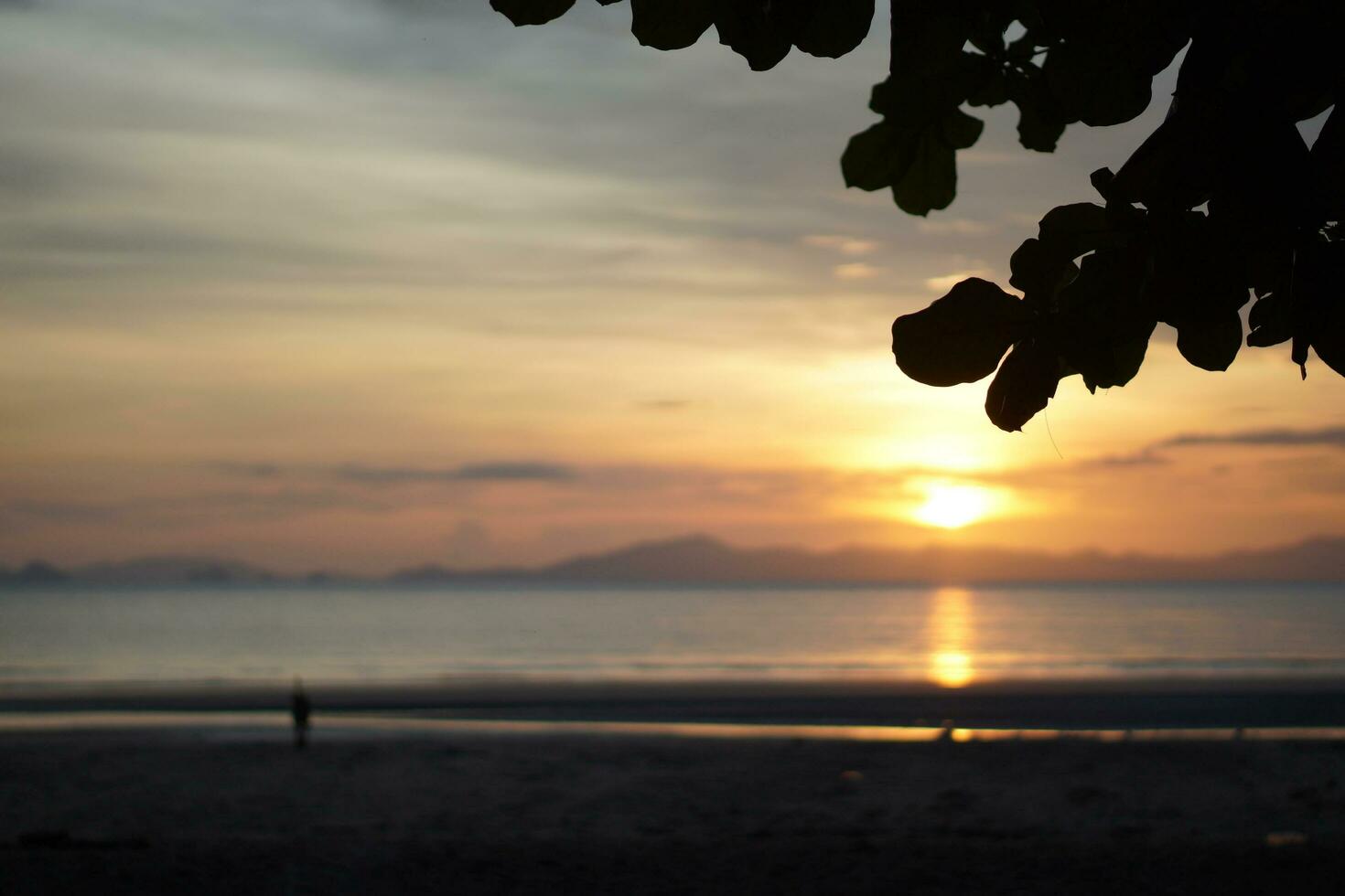 Sunset at beach photo