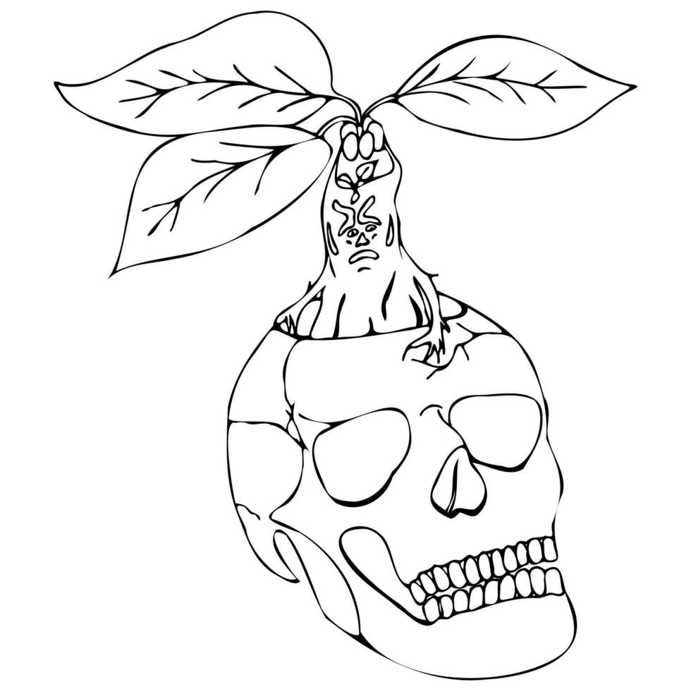 skull with mandrake in black silhouette doodle illustration in halloween style vector