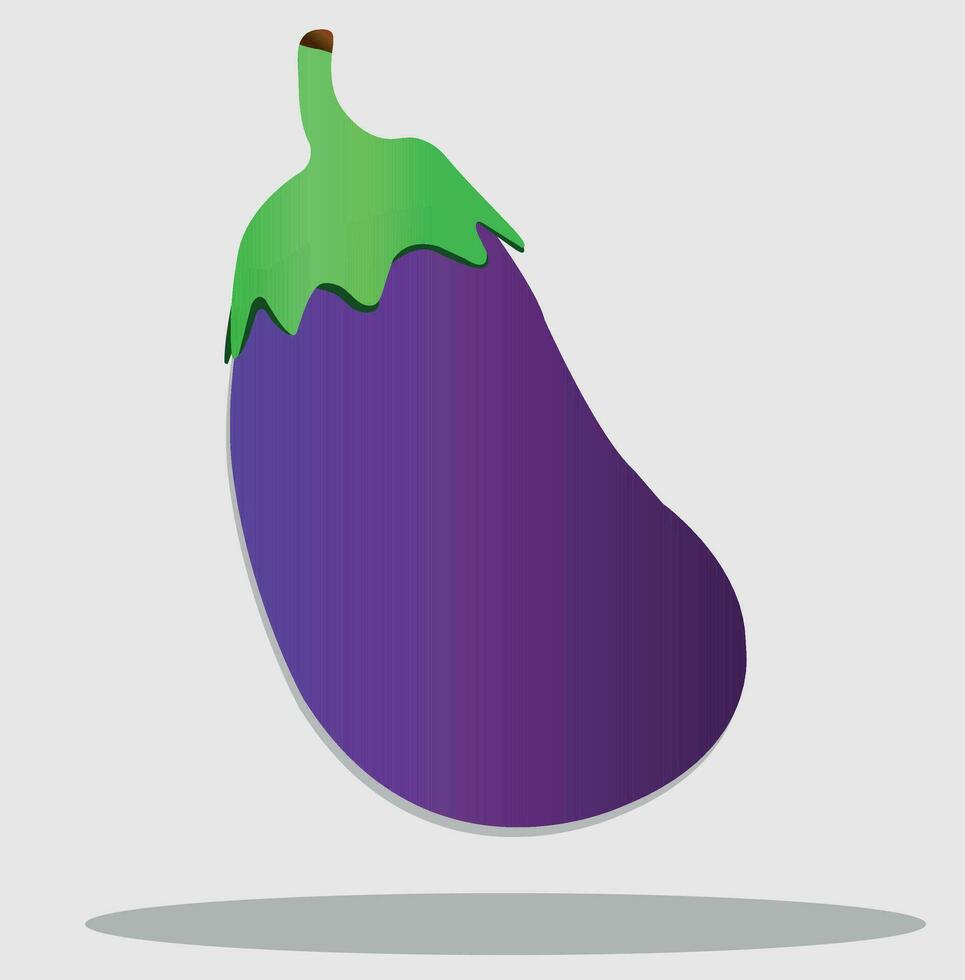 vector brinjal art