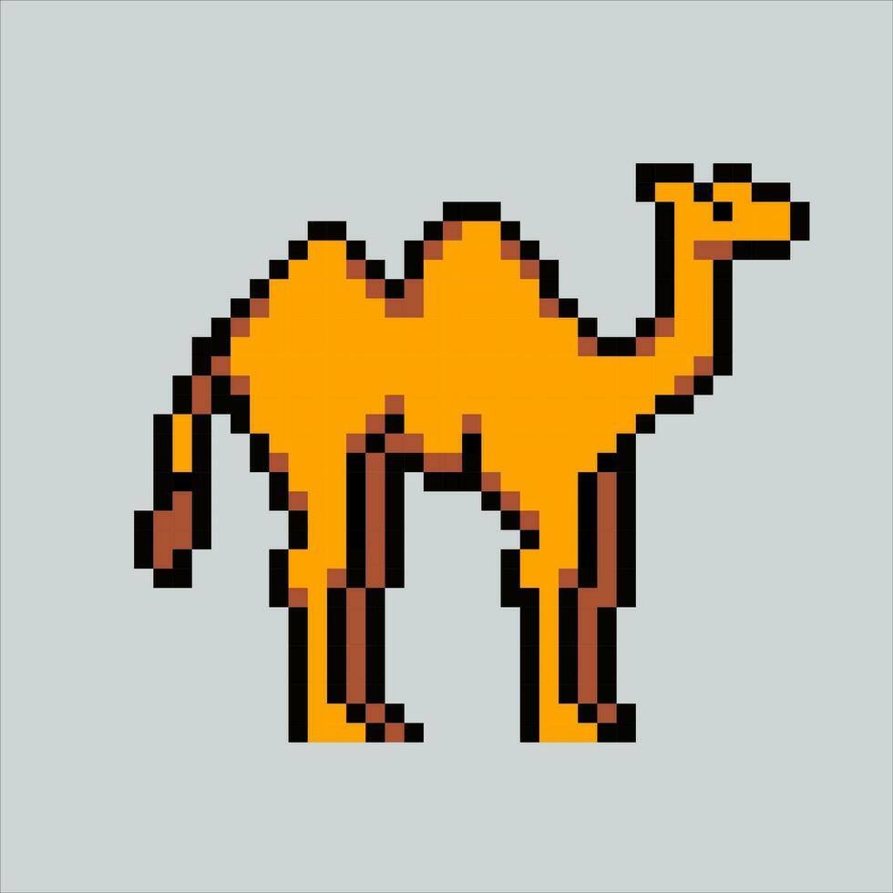 píxel Arte ilustración camello. pixelado camello. linda medio este camello animal icono pixelado para el píxel Arte juego y icono para sitio web y vídeo juego. antiguo colegio retro vector